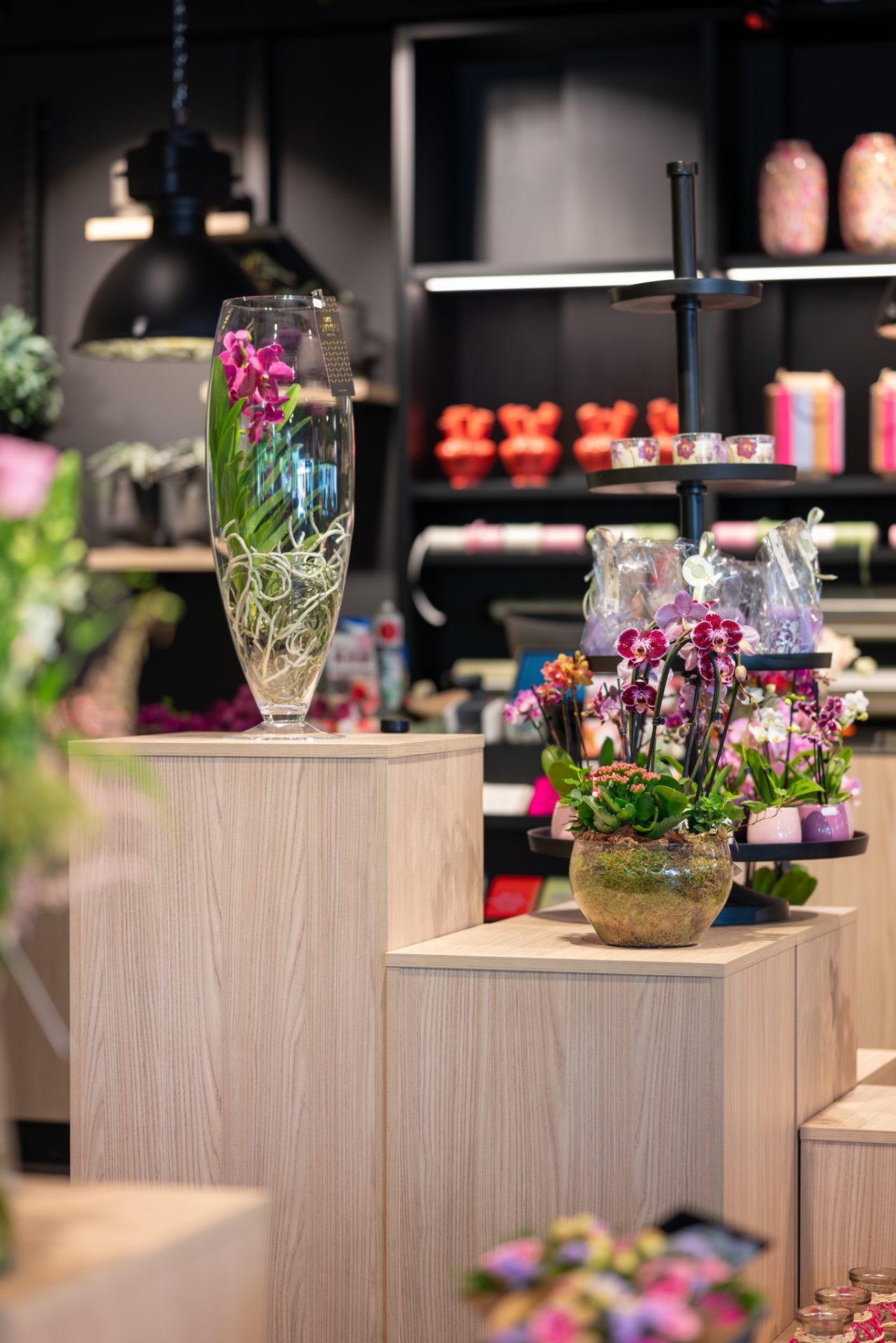 Van Beest Bloemen en Planten | Vathorst (NL) - Ladeneinrichtung